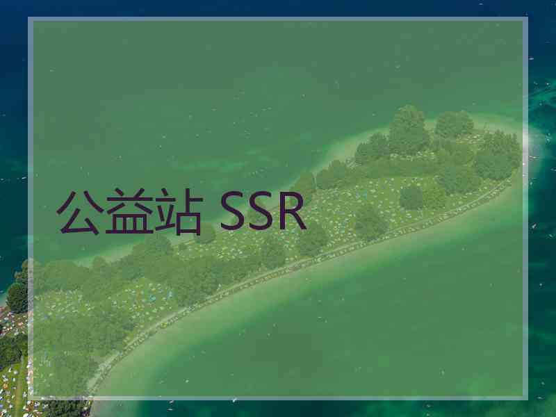 公益站 SSR