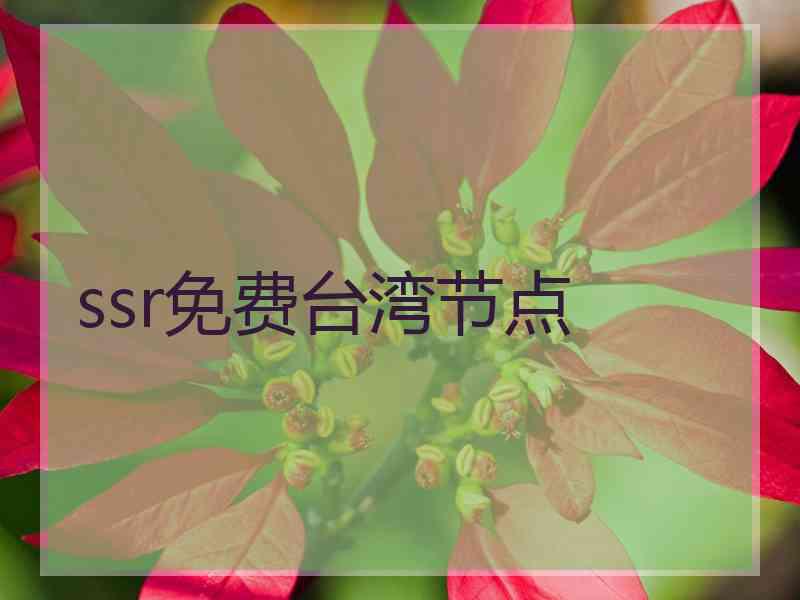 ssr免费台湾节点