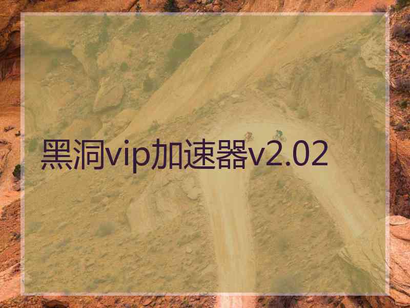 黑洞vip加速器v2.02