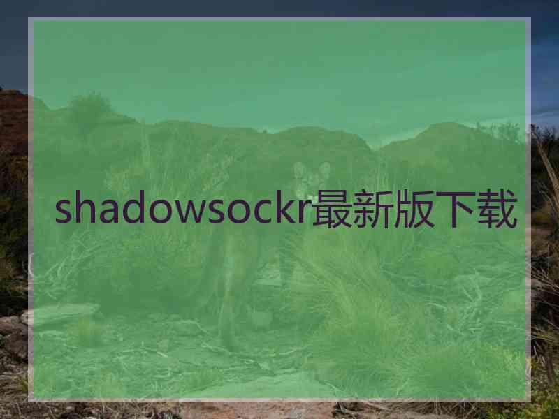 shadowsockr最新版下载