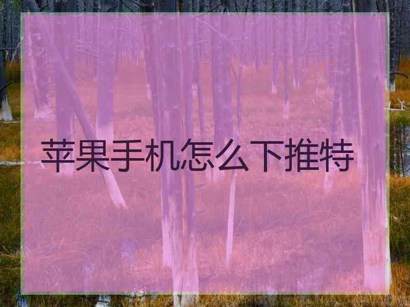 苹果手机怎么下推特