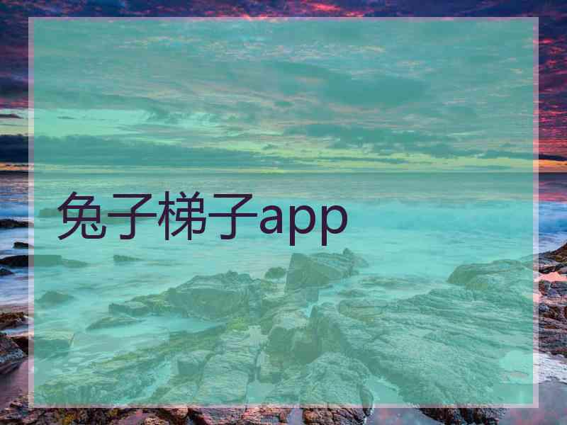 兔子梯子app