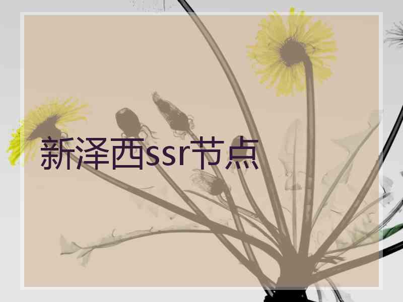 新泽西ssr节点