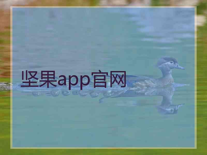 坚果app官网